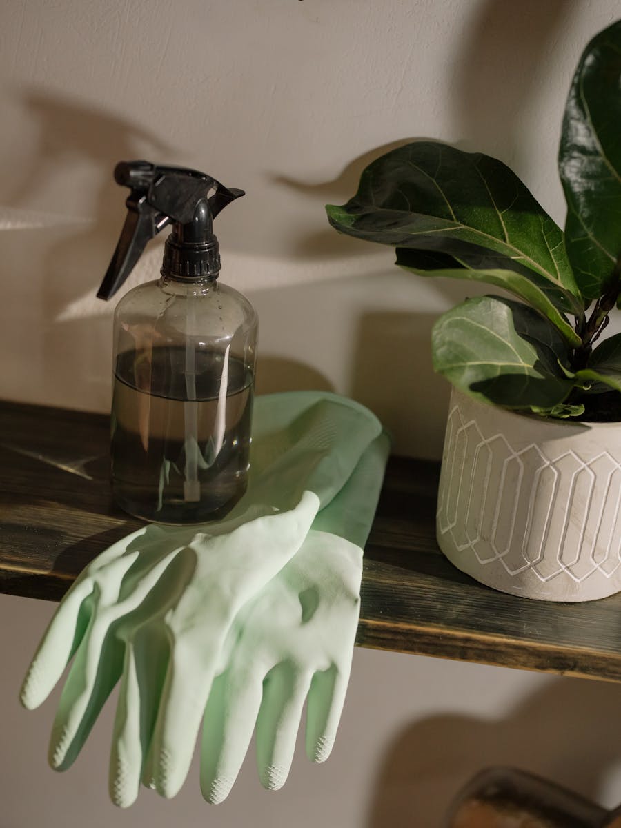 Professional Cleaning service by Property Shield Services in the West Midlands